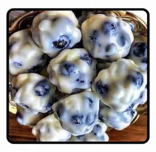 Keto Blueberry Yogurt Protein Bites (No-Bake, High-Protein Snack)